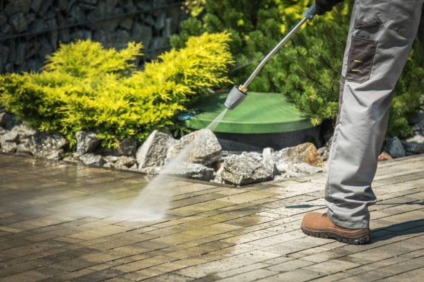 Best Roof Washing  in Califon, NJ