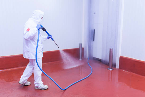 Best Soft Washing  in Califon, NJ