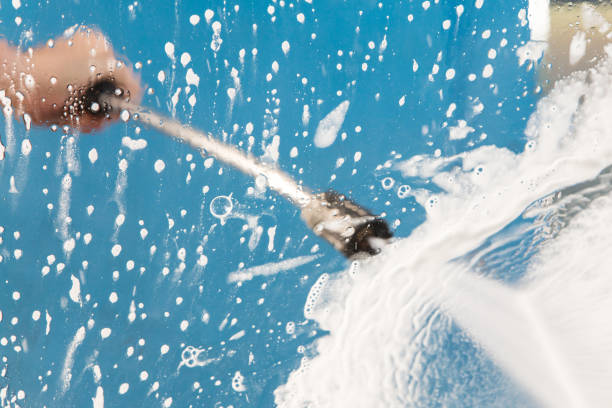 Animal Enclosure Cleaning in Califon, NJ