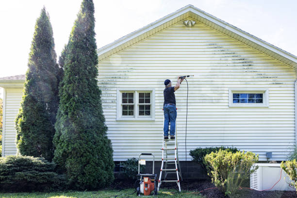 Best Patio and Deck Pressure Washing  in Califon, NJ